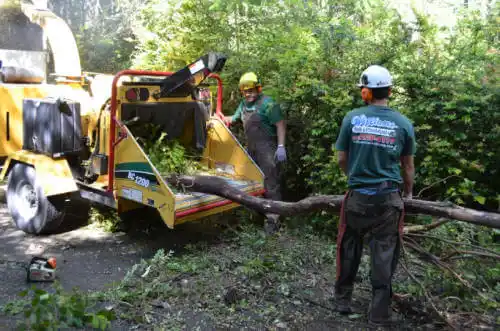 tree services Centerville